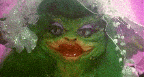 giphy-5